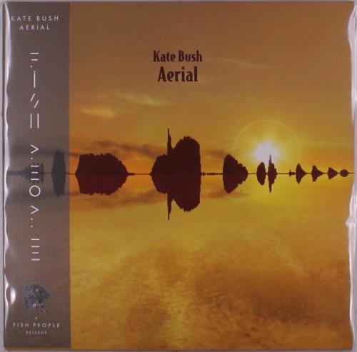 AERIAL 