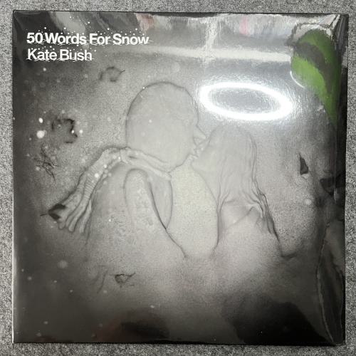 50 WORDS FOR SNOW 