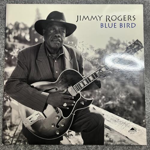BLUE BIRD 