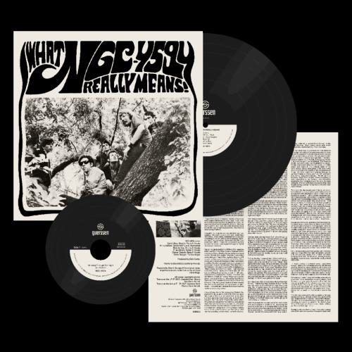 WHAT NGC-4594 REALLY MEANS (STANDARD BLACK VINYL) 
