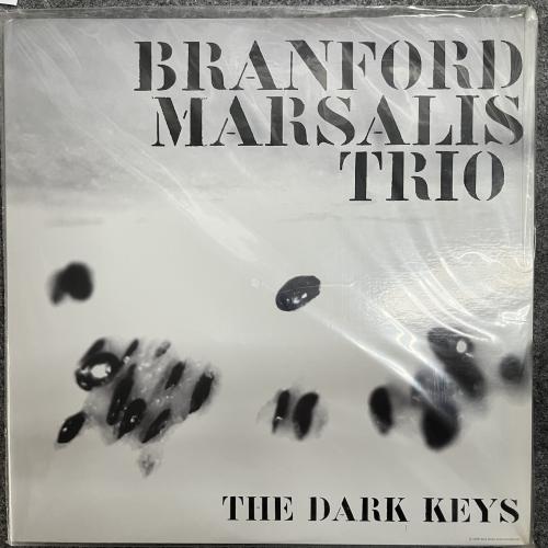 THE DARK KEYS 