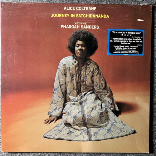 JOURNEY IN SATCHIDANANDA 