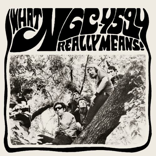 WHAT NGC-4594 REALLY MEANS (LTD EDITION - NUMBERED - COLOURED VINYL) 