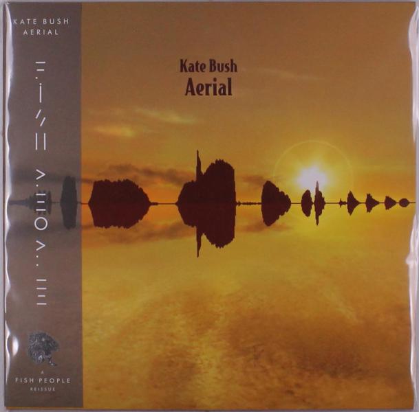 AERIAL 