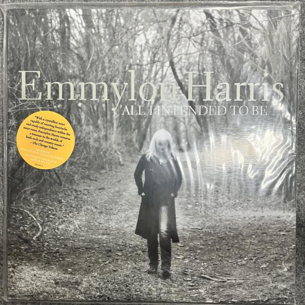 ALL I INTENDED TO BE 