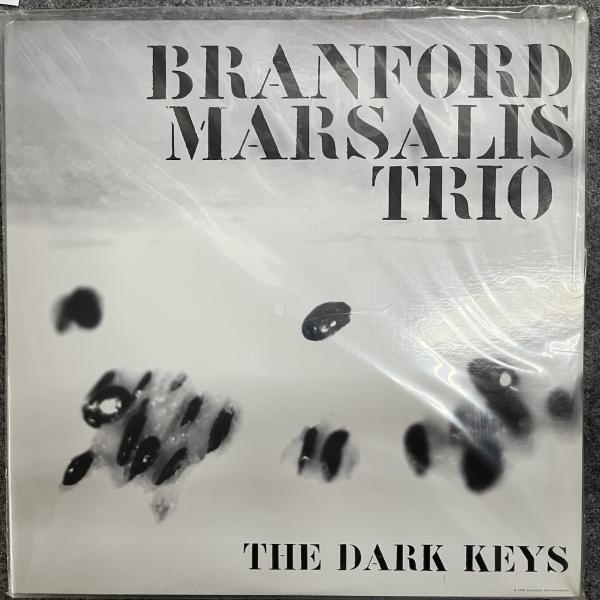 THE DARK KEYS 