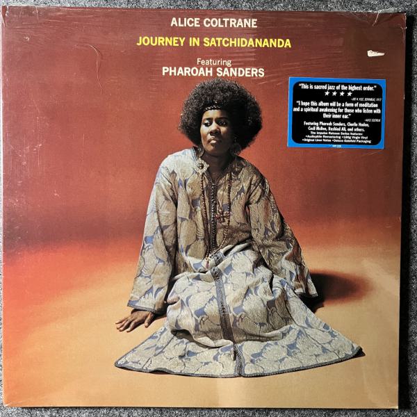 JOURNEY IN SATCHIDANANDA 