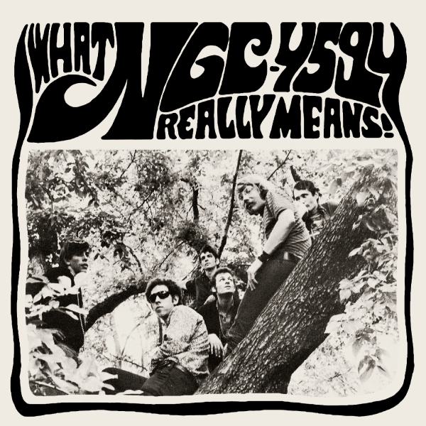 WHAT NGC-4594 REALLY MEANS (LTD EDITION - NUMBERED - COLOURED VINYL) 