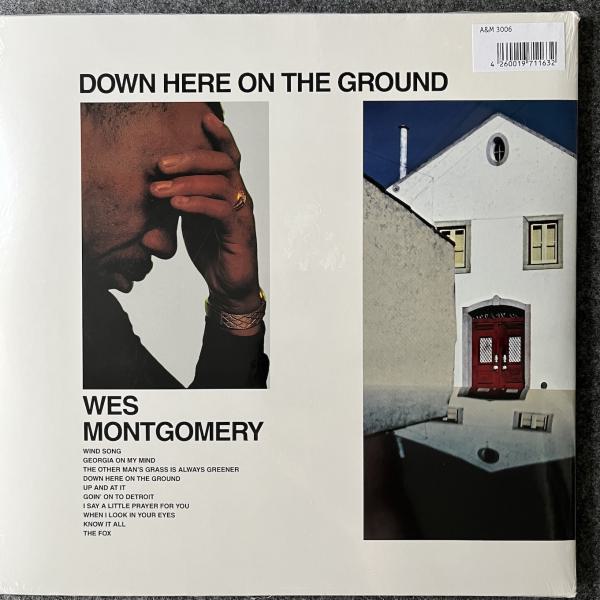 DOWN HERE ON THE GROUND 