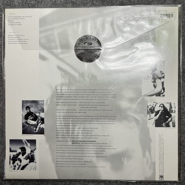 DREAM OF BLUE TURTLES 