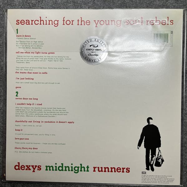 SEARCHING FOR THE YOUNG SOUL REBELS 