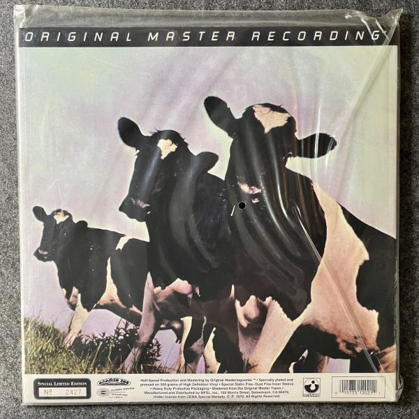 ATOM HEART MOTHER 