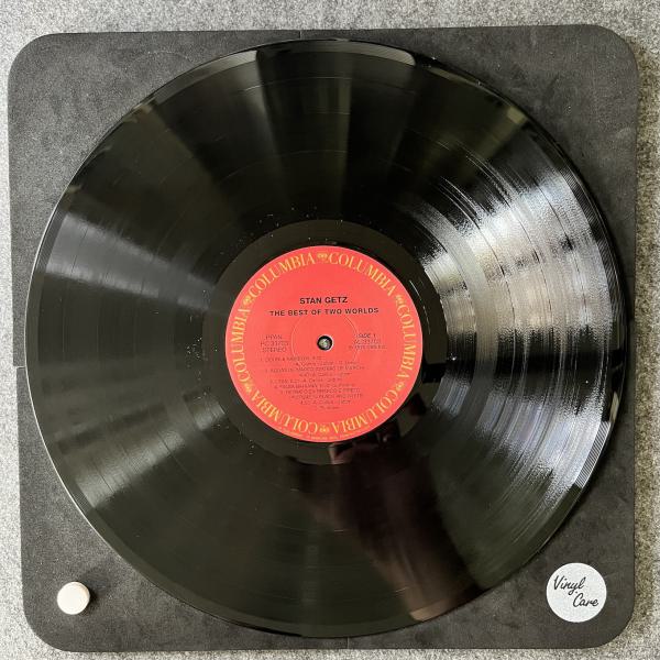 THE BEST OF TWO WORLDS 