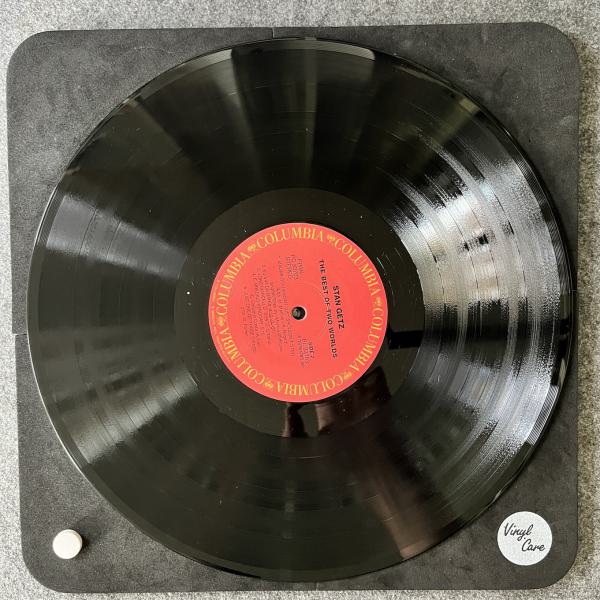 THE BEST OF TWO WORLDS 