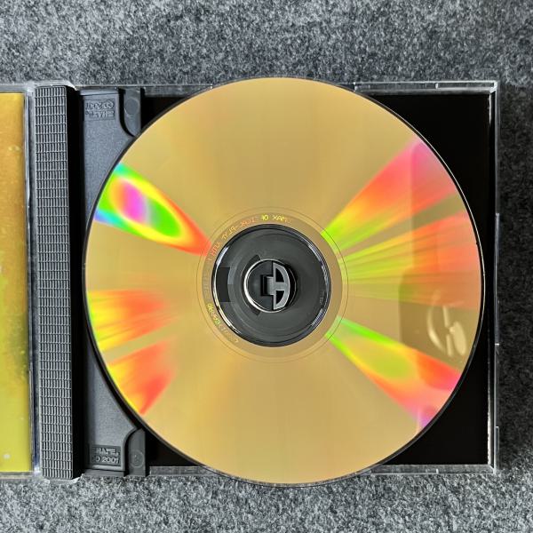 TALKING BACK TO THE NIGHT 