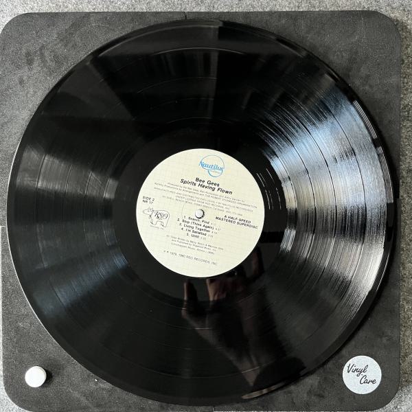 SPIRITS HEAVING FLOWN 